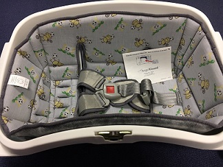 Child Safety Seat Distribution Program